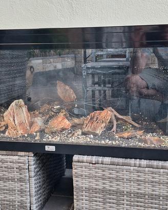 Acquario ACQUATLANTIS Prestige 100