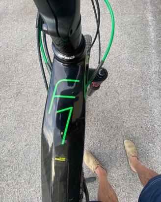 MTB 29" OLYMPIA CARBON TAGLIA "M"