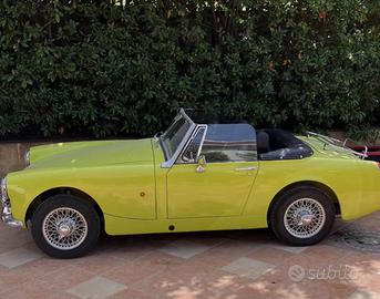 Mg midget