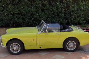Mg midget