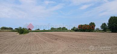 Terreno Agricolo Cologna Veneta