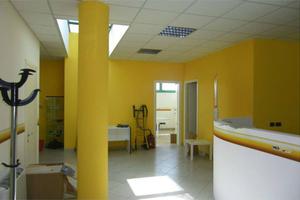 Immobile di 265 m² con 4 locali a Porcari