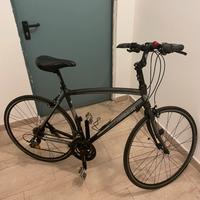 Lombardo ventimiglia