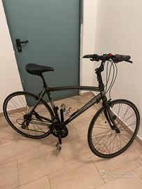 Lombardo ventimiglia