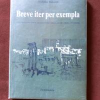 Latino -Breve iter per exempla - T. Rimondi - 1983