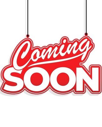 Suzuki V Strom DL 650 XE - 2023