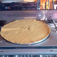 technics sl-dd22 giradischi 