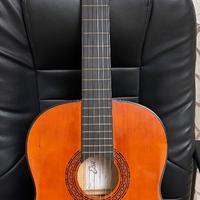 Chitarra Eko cs10