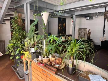 Loft - Milano