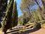 Immagine 24