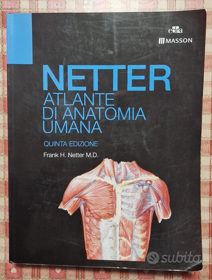 Faringe tavola Netter Atlante Anatomia - Deambulatore Subito