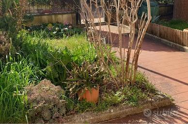 Casa indipendente di 225 m² con più di 5 locali a 