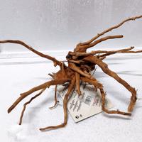 Legno Decorativo per Acquario o Terrario cm 37x20