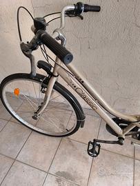 Bicicletta da donna