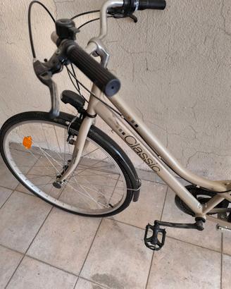 Bicicletta da donna