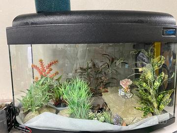 Acquario 75 l piu accessori