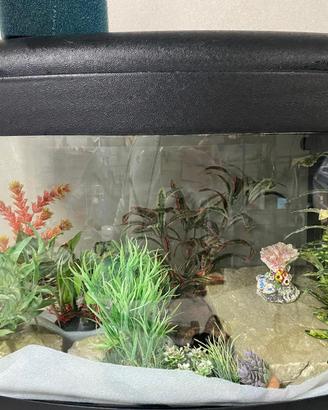 Acquario 75 l piu accessori
