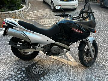Suzuki freewind 650