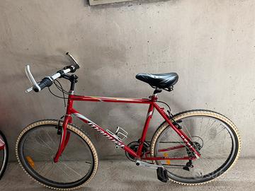 Bicicletta mtb