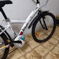 Bicicletta da ragazza 