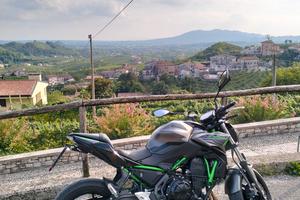 Kawasaki Z650 Grigio Opaco/Verde – 2023