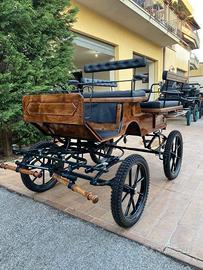 Carrozza Wagonette (016)
