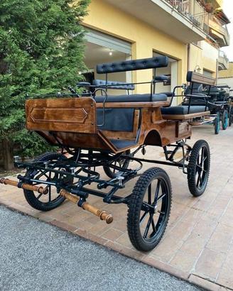 Carrozza Wagonette (016)