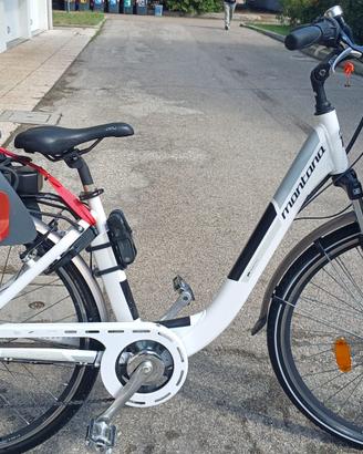 bicicletta pedalata assistita