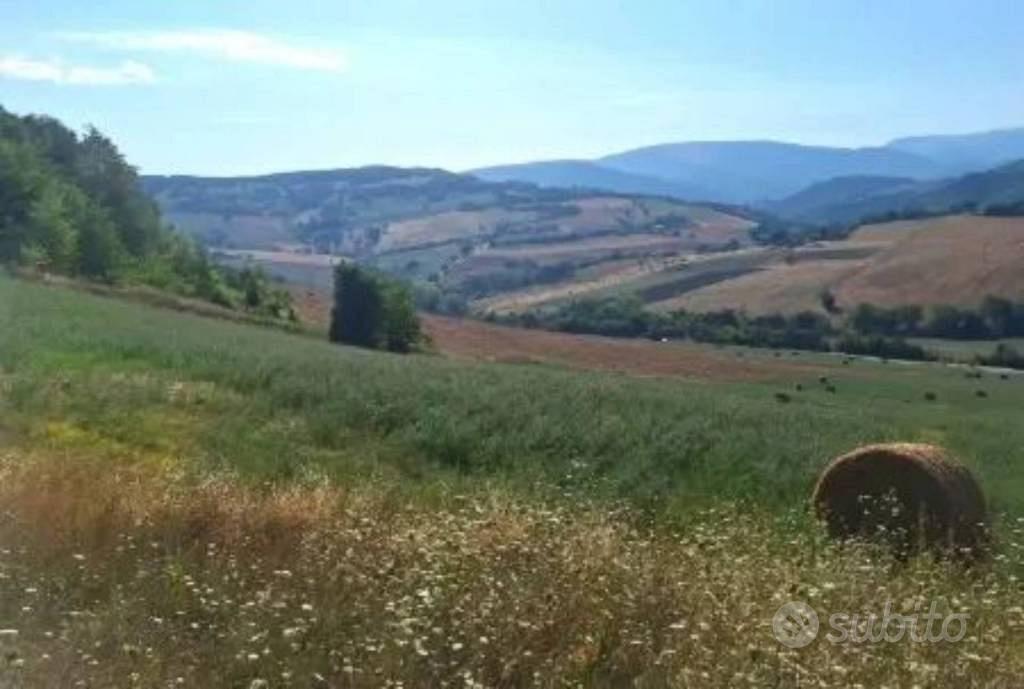 Immobile in asta di 1580 m² a Camerino - Vista 2