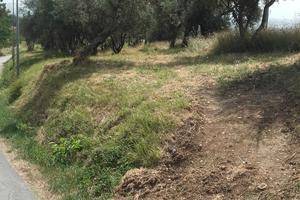 Terreno agricolo