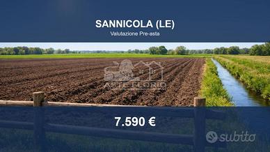 Immobile in asta di 2401 m² a Sannicola