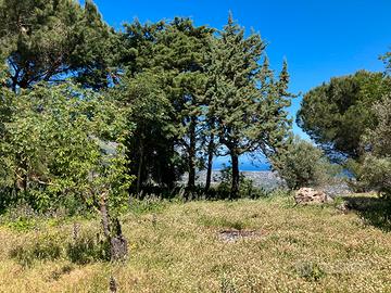 Terreno collinare