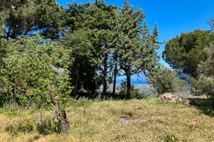 Terreno collinare