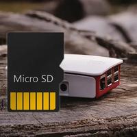 MicroSD Raspberry Pi pronta – accendi e funziona