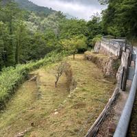 Terreno agricolo nel comune di Rialto