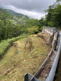 Terreno agricolo nel comune di Rialto