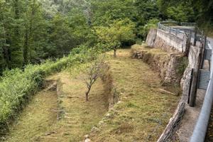 Terreno agricolo nel comune di Rialto