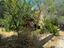 Immagine 29
