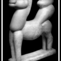 GAROFALO GUADAGNUCCI SIRAGUSA CANONICA 4 vol