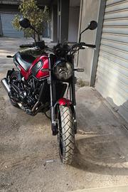 Benelli Leoncino 500 Trail