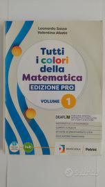 Tutti i colori della matematica volume 1