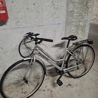 Bici da donna a marce trattabile