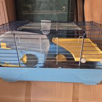 gabbietta per conigli nani