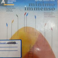 MINIMO IMMENSO ISBN 9788839563224