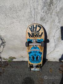 skateboard professionale 