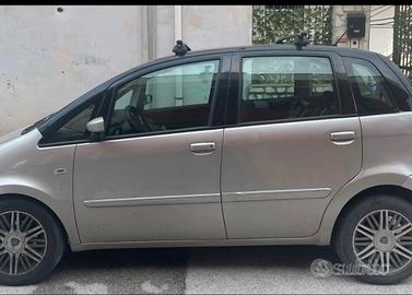 lancia musa