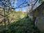 Immagine 13