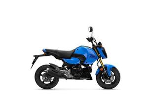 Honda MSX 125 GROM - YM 2026