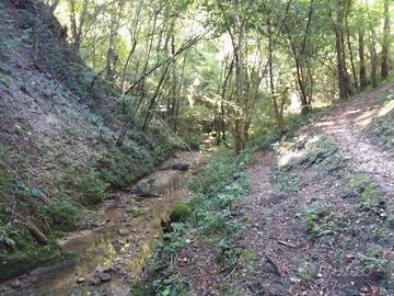 Terreno boschivo Farra di Soligo