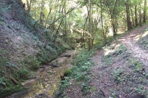 Terreno boschivo Farra di Soligo